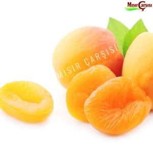 YENİ MAHSÜL KAYISI -(KG)